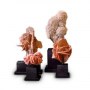 Designer's Atelier Home Accessories Collection | Set of 4 Sand Roses from World's Deserts | Interior Designers